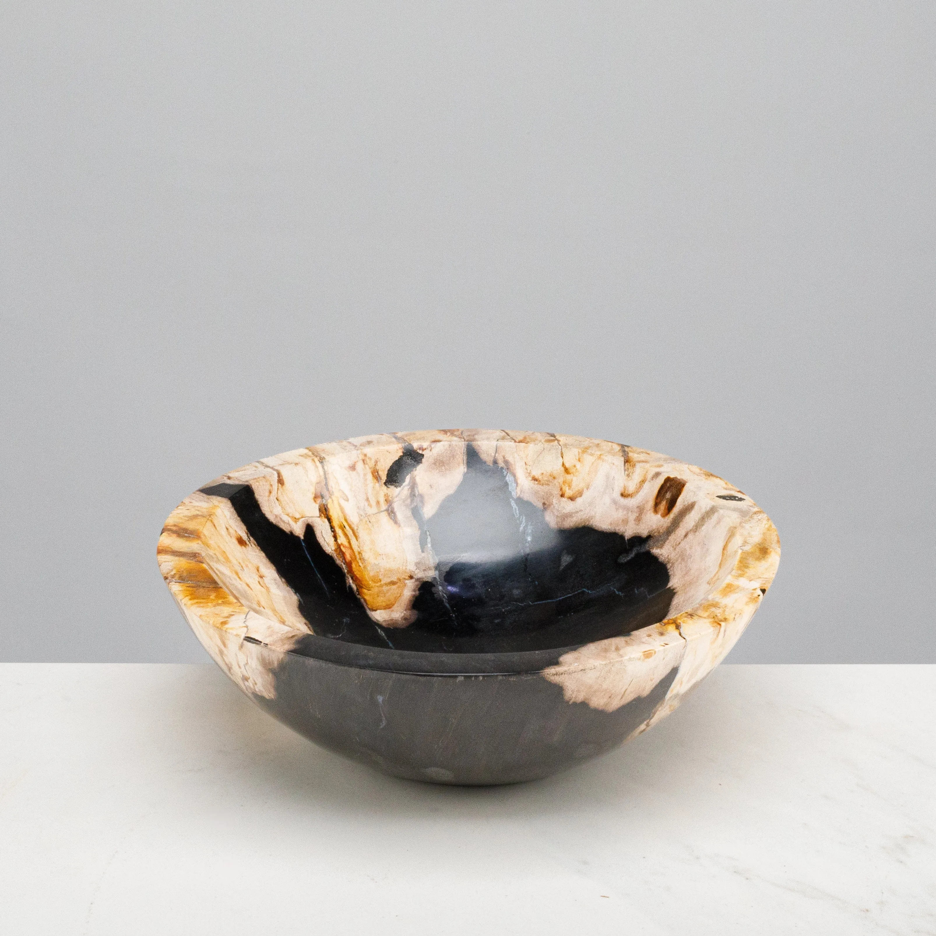 9 Black Small Petrified Wood Bowl