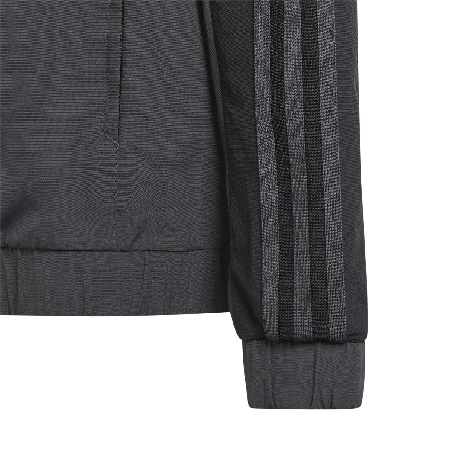 Chaqueta Chándal adidas Niños Entrenamiento UCL 23/24