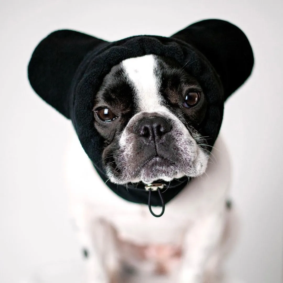 Frenchiestore Organic Dog Frenchie Ear Warmers | Black Frenchie