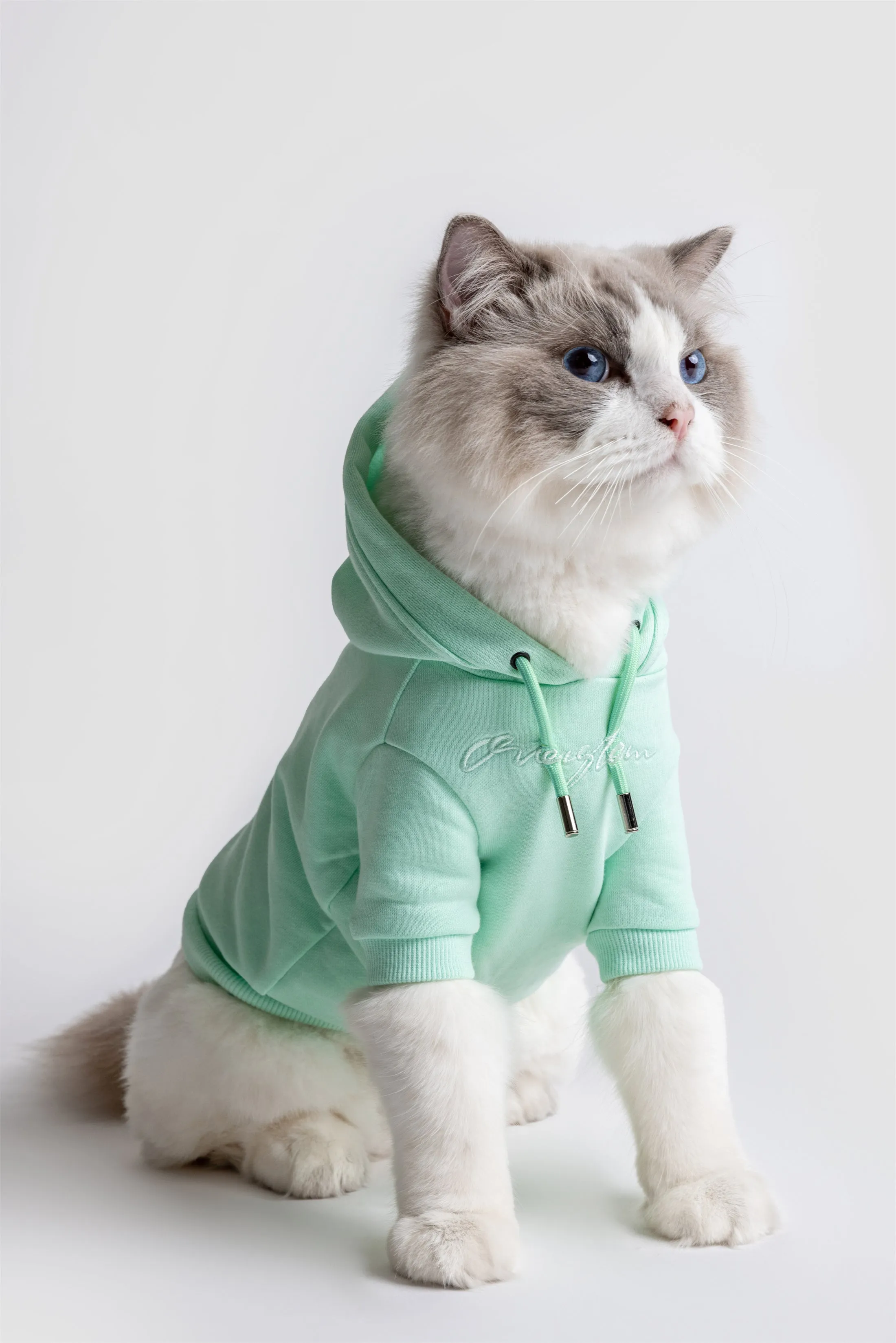 Pastel Hoodie